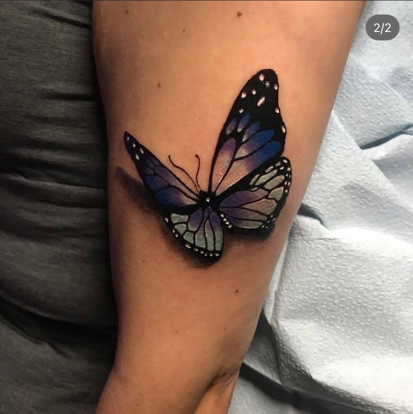 3D Butterfly — Color Realism
