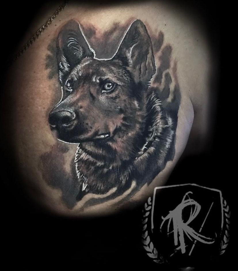 German Shepherd Portrait — Realism