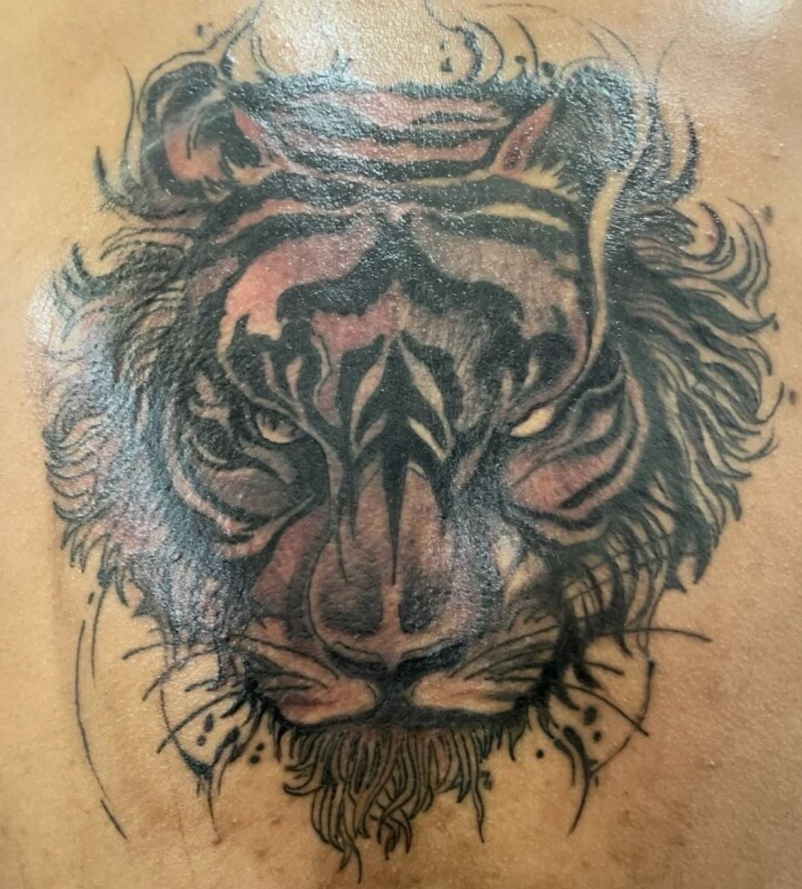 Tiger Portrait