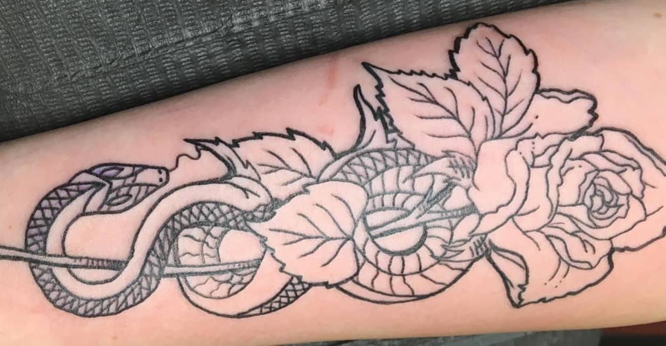 Snake & Roses