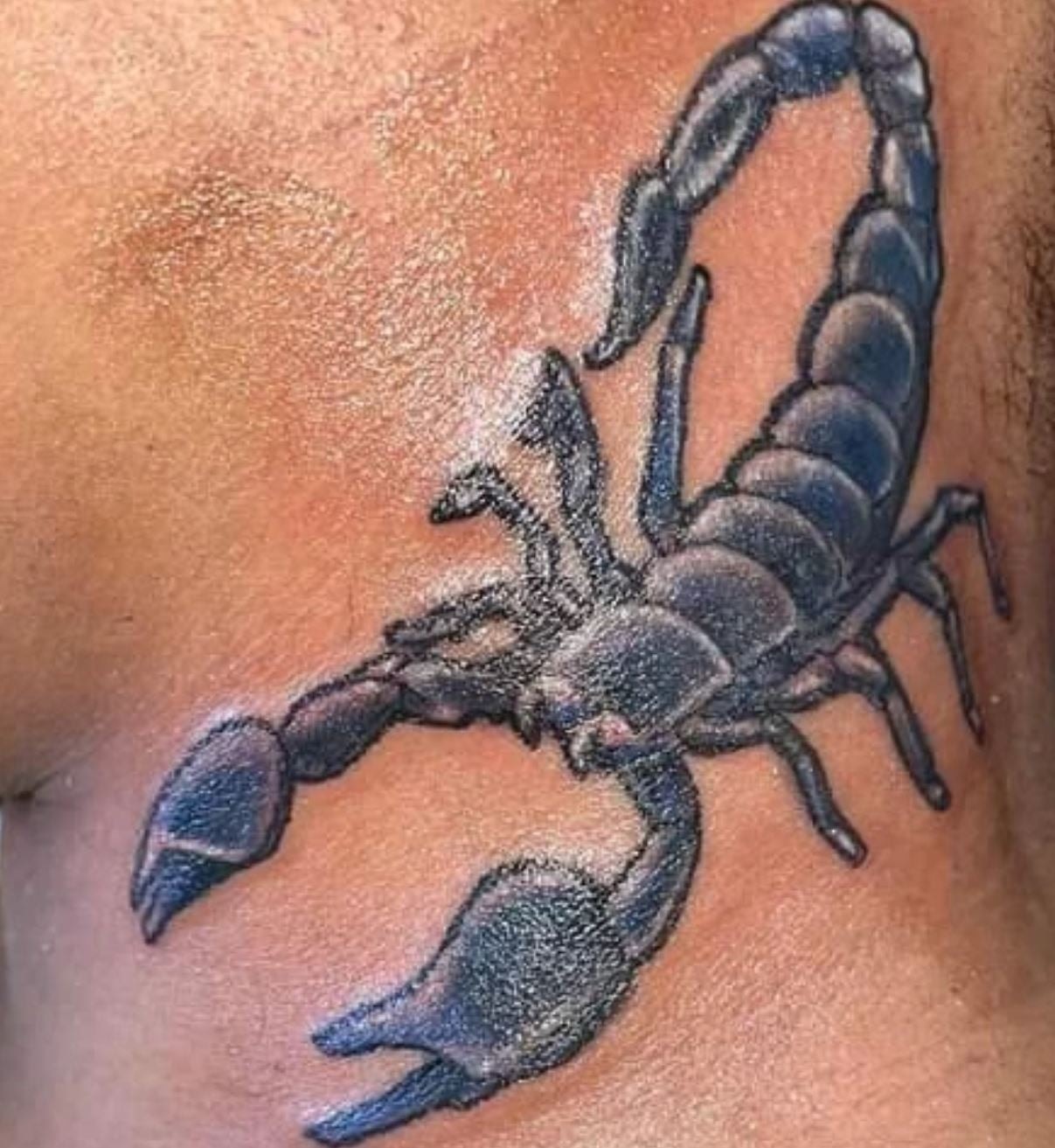 Scorpion