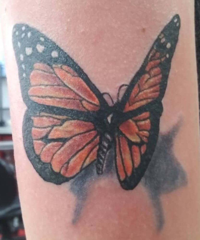 Monarch Butterfly