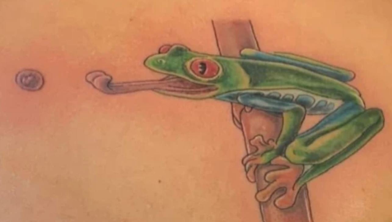Tree Frog